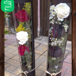 بوكس رسالة فرحة